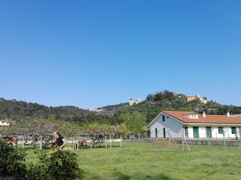 venue-picture-3