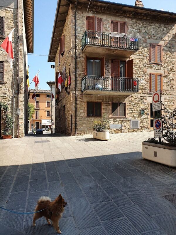 venue-picture-4