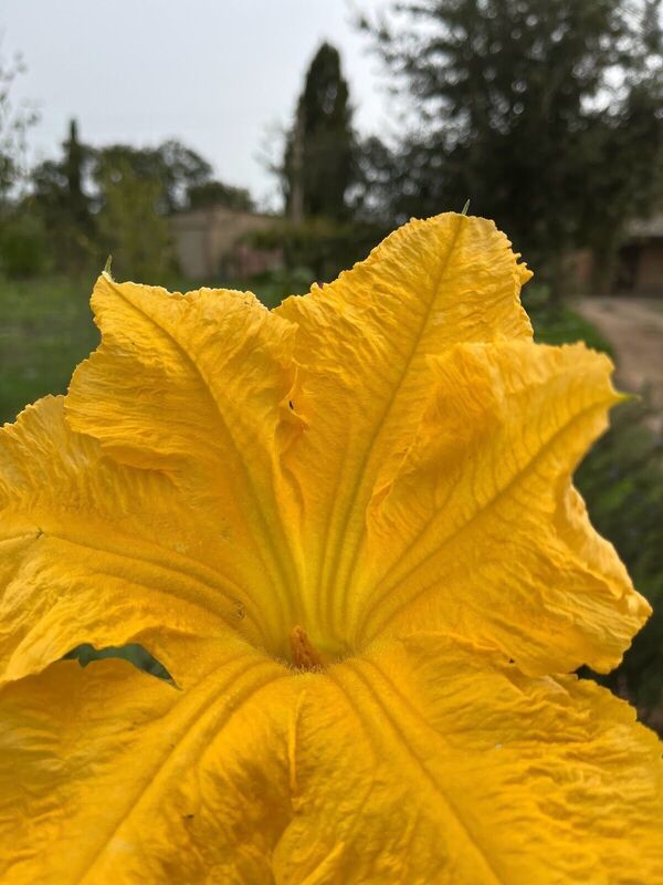 venue-picture-3