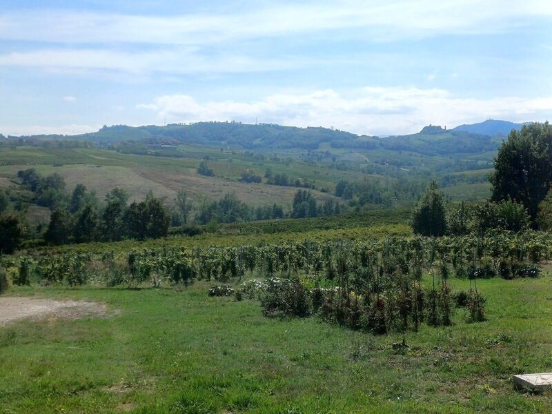 venue-picture-2