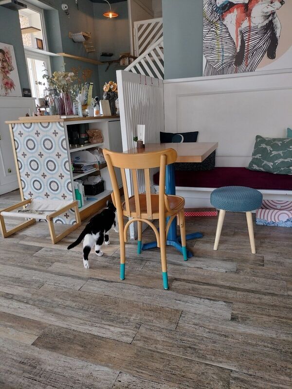 venue-picture-4