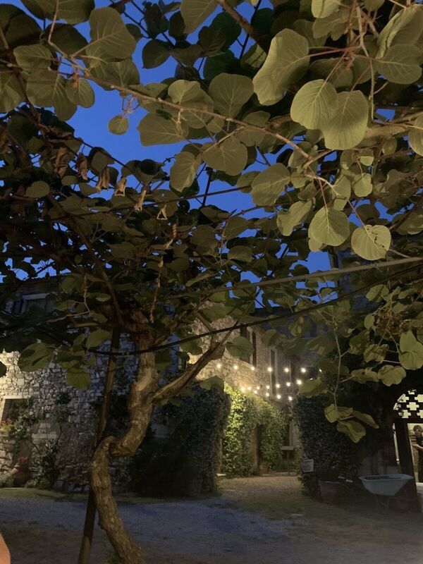venue-picture-3